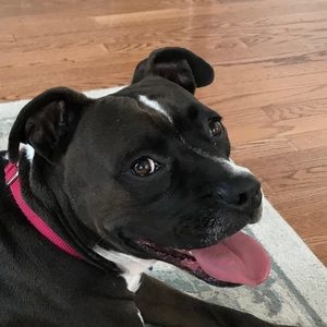 Meet your Posher, Ted